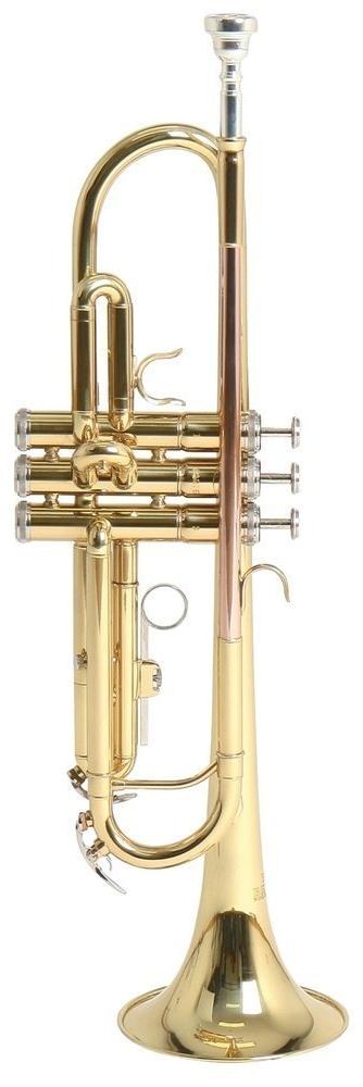 TR-101