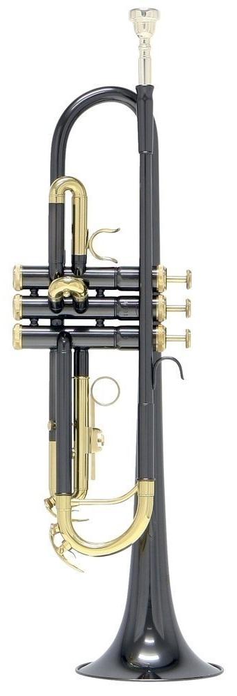 TR-101K