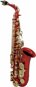 AS-202R 1