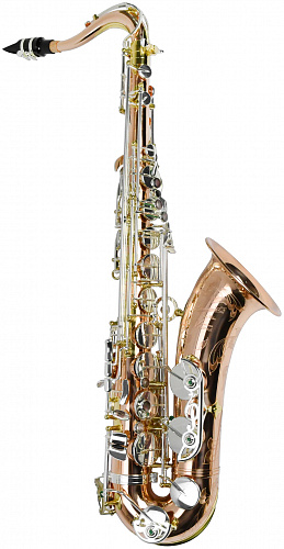 PMST-600 Venus