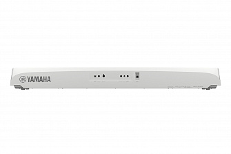 DGX-670 WH 2