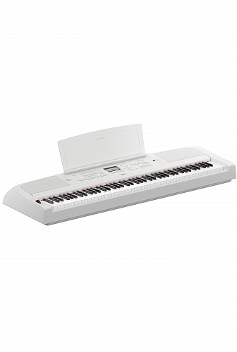 DGX-670 WH