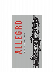 Allegro 2