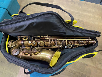 Чехол для альт саксофона Master Alto Pixel 01  4