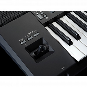 PSR-SX920 6