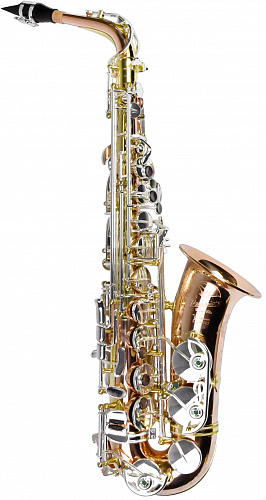 PMSA-600 Venus