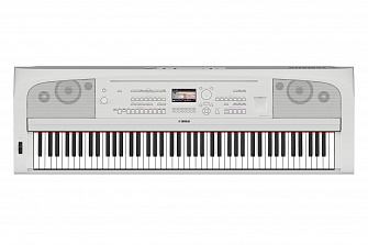 DGX-670 WH 1