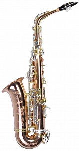 PMSA-600 Venus 1