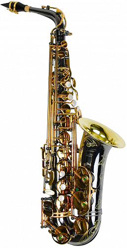 PMXA-67R BX