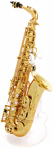 Pro-One AS6200VLQ 11